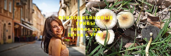 гидра Киренск