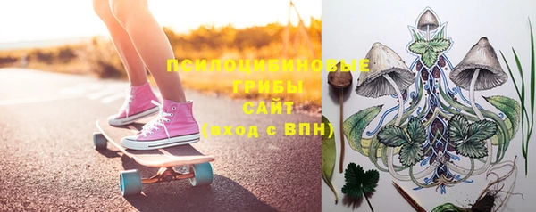 гидра Киренск