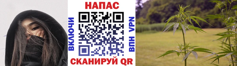 Марихуана марихуана  Купить где  Новотитаровская 